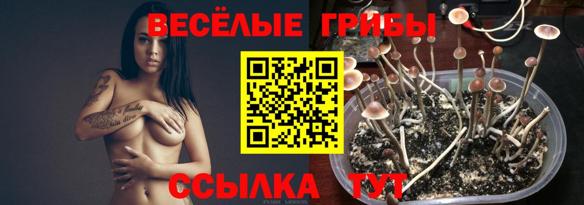 Ачинск  Псилоцибиновые грибы прущие грибы  Вход с VPN 