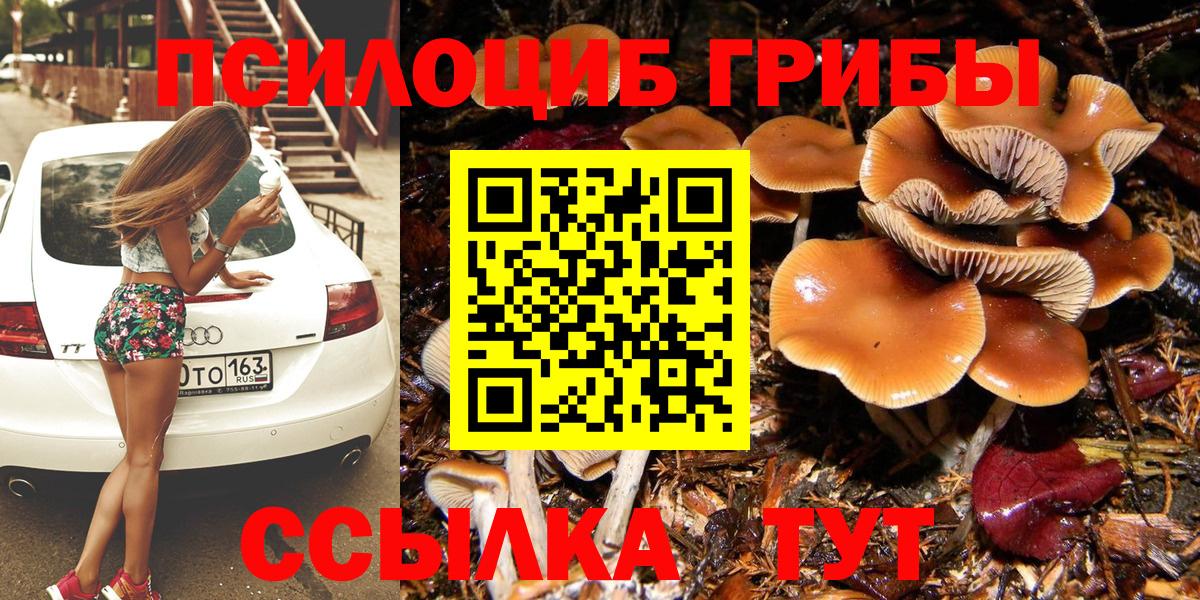 Псилоцибиновые грибы Cubensis Ачинск